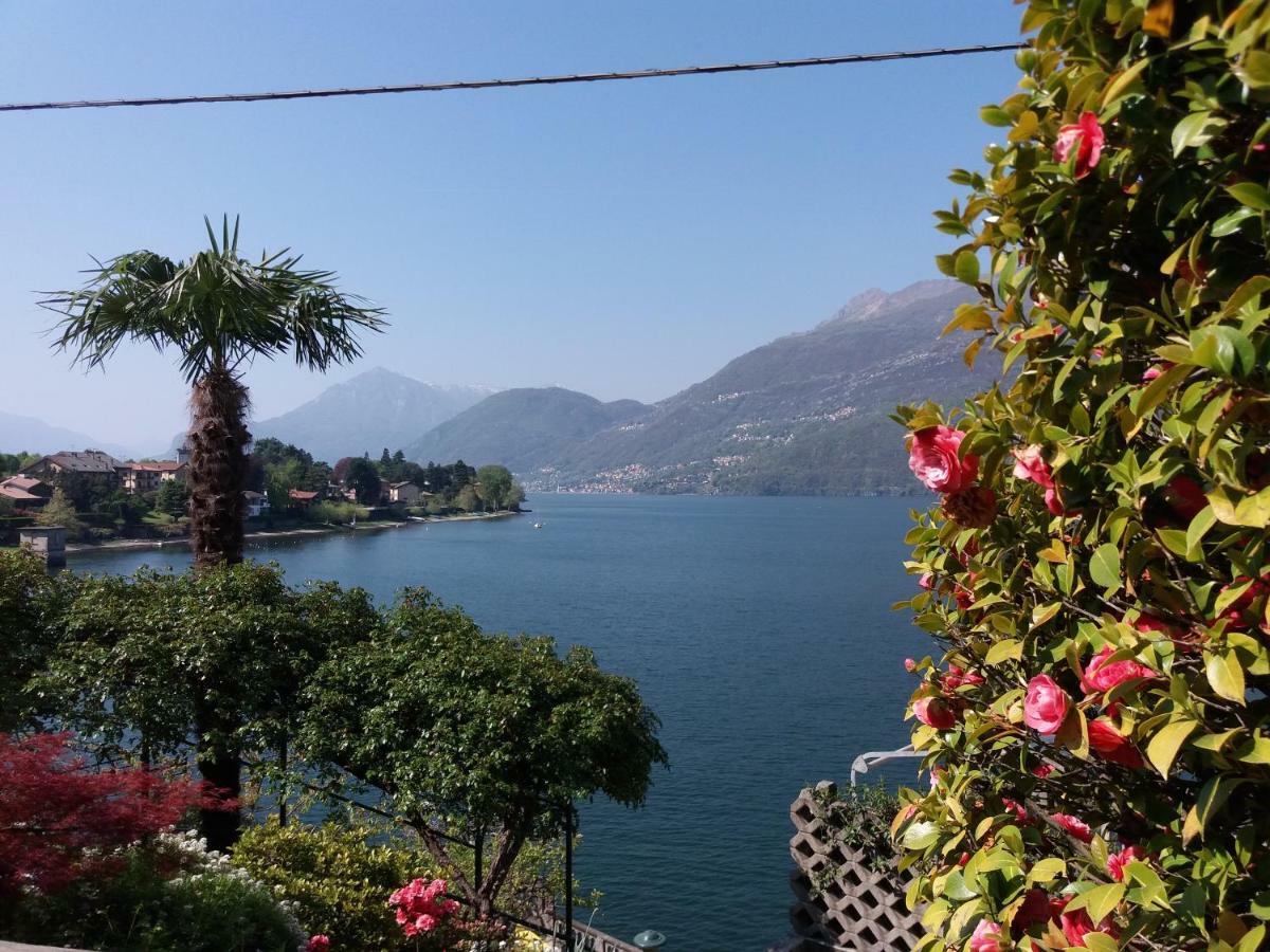 Villa Plinio Lago Di Como Dervio Kültér fotó